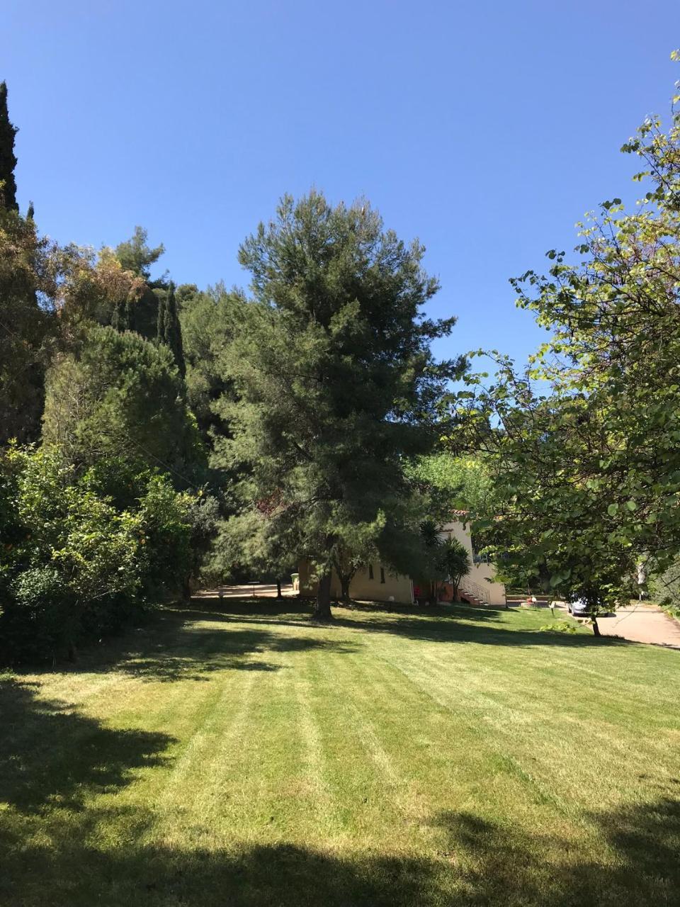 Oasis Olympia Apartments Smila Dış mekan fotoğraf
