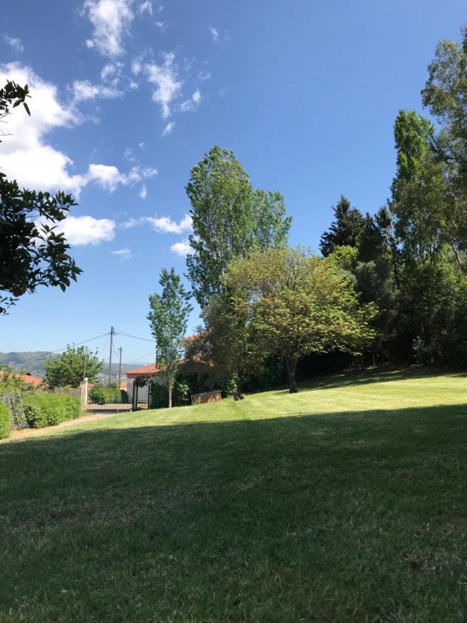 Oasis Olympia Apartments Smila Dış mekan fotoğraf