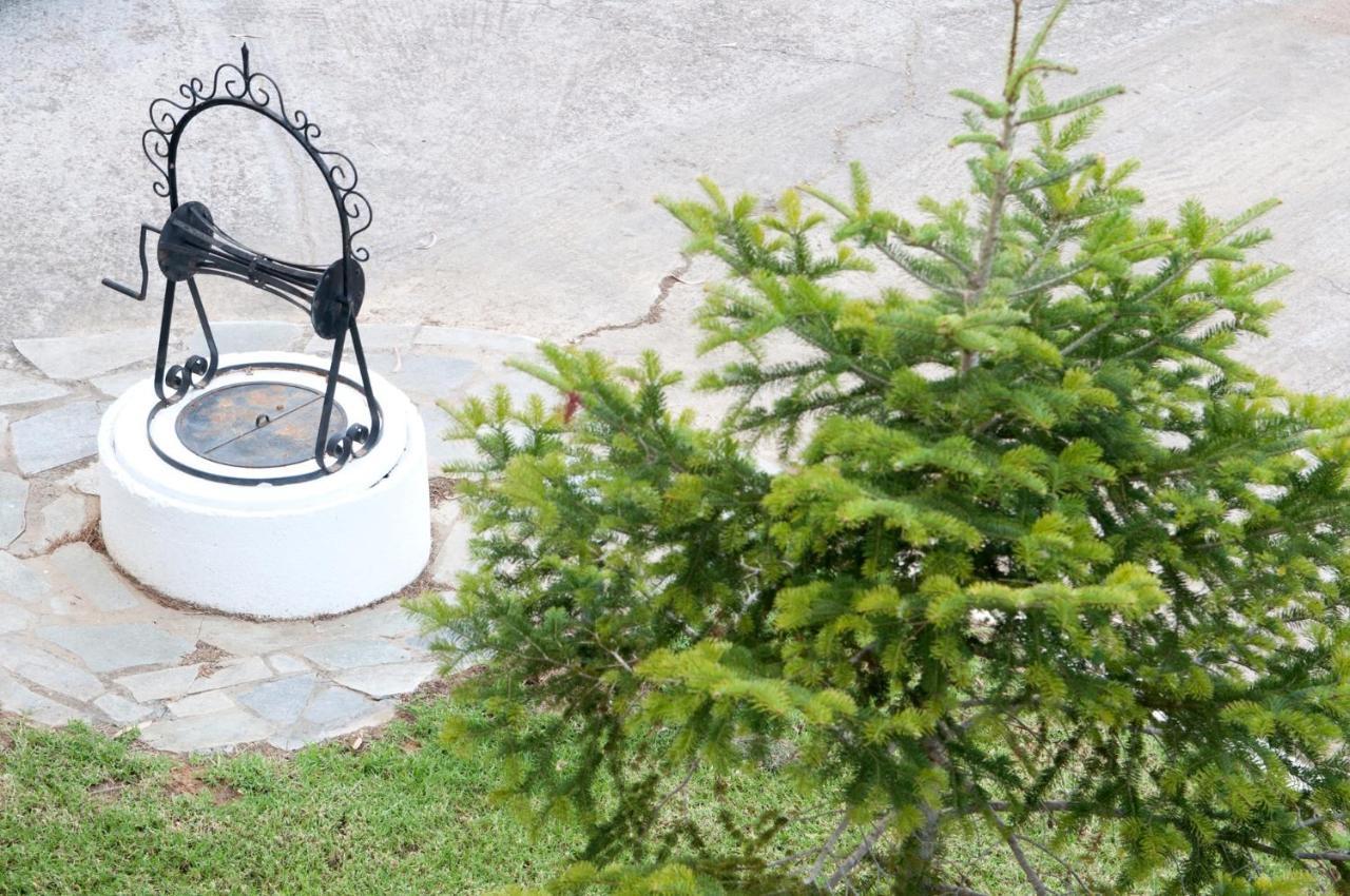 Oasis Olympia Apartments Smila Dış mekan fotoğraf